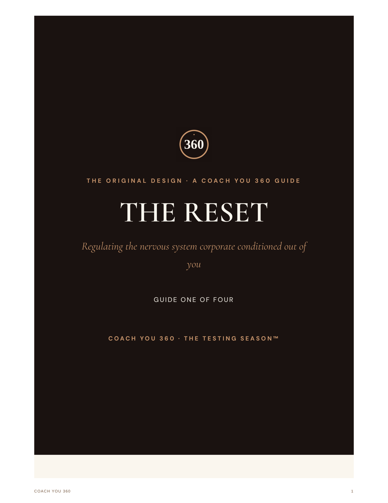 The Reset — Guide One cover